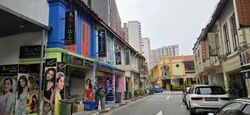 Little India Conservation Area (D8), Shop House #466225981